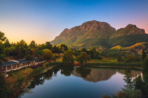 Simonsberg mountain near Stellenbosch in South Africa. Simonsberg mountain in Simonsberg Nature Reserve near Stellenbosch in South Africa. stellenbosch stock pictures, royalty-free photos & images