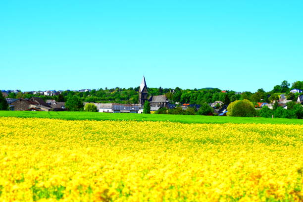 istock village behind yellow fields 1251128803
