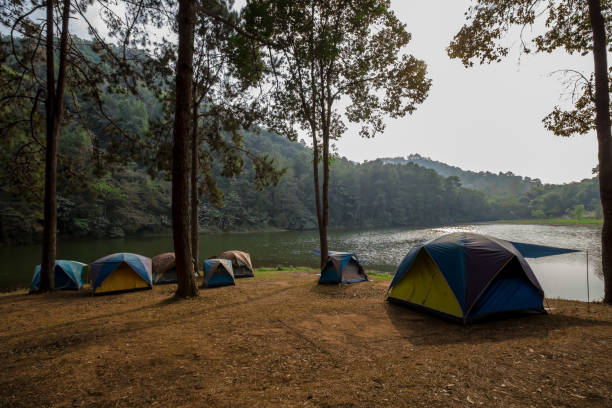 istock Thailand, Activity, Adventure, Beauty, Below 1251129500