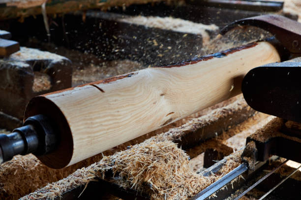 istock A saw machine cuts bark from wooden logs at a sawmill. 1251132920
