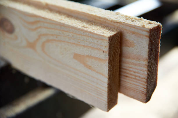 istock Butt  of a wooden pine board 1251133496