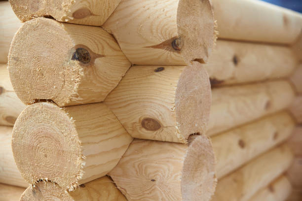 istock Wooden beam  folded into a log house (house) 1251133505