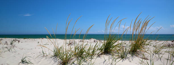 istock Blue sky, sea and sand on deserted beach 1251137939