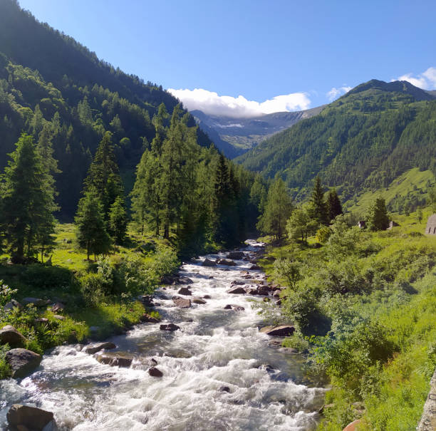 река альпин в каркофоро-вальсезия пьемонт италия - alpin стоковые фото и изображения