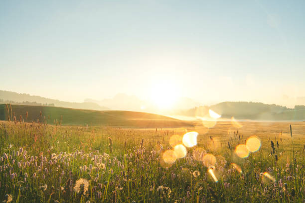 자연 전망 일몰 곡선 도로와 사이프러스 이탈리아가 있는 유명한 토스카나 풍경의 아름다운 시골 도로 경치 - romantic scene 뉴스 사진 이미지