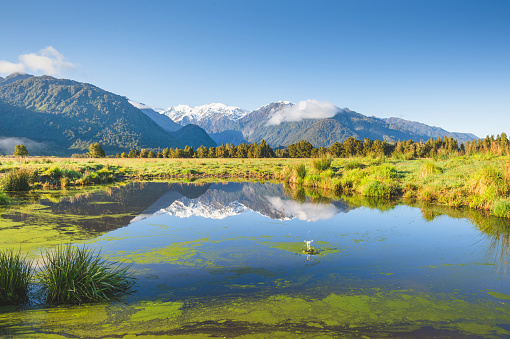 View of Mt Cook and Fox Glacier looking over Lake Matheson on the West Coast of New Zealand