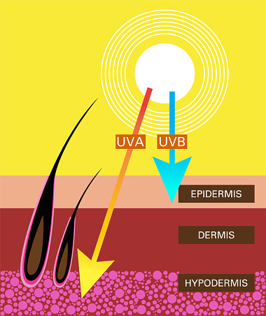 Skin compare , Protect both UVA and UVB