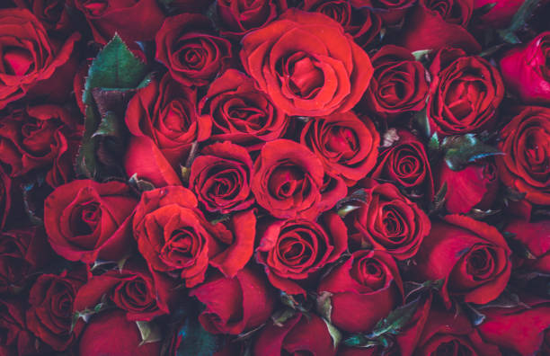 istock Close-Up Of Roses Bouquet 1251152298