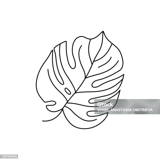 Monstera Leaf Of Tropical Plants Outline Palm Leaf In A Trendy Minimalist Liner Style Vector Illustration Stock Illustration - Download Image Now