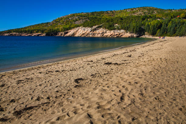 istock Sand Beach in Acadia National Park 1251154248
