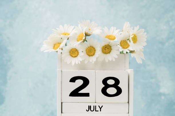 istock White cube calendar for july decorated with daisy flowers with copy space 1251158253