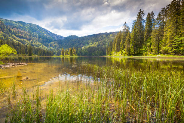 small lake in the Austrian Alps in the Mostviertel called the Obersee