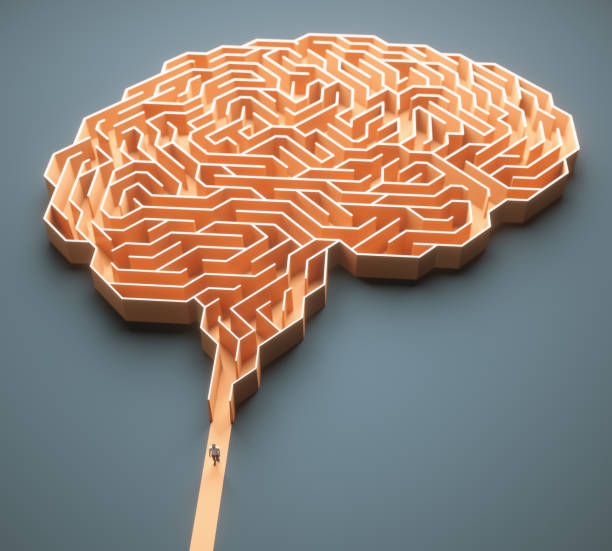 istock Brain Maze Science And Medical Research 1251167478