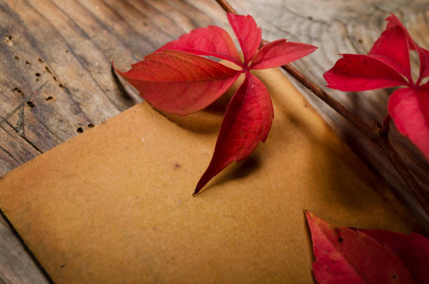 istock Empty paper sheet and red ivy on rustic wooden table from above 1251168143