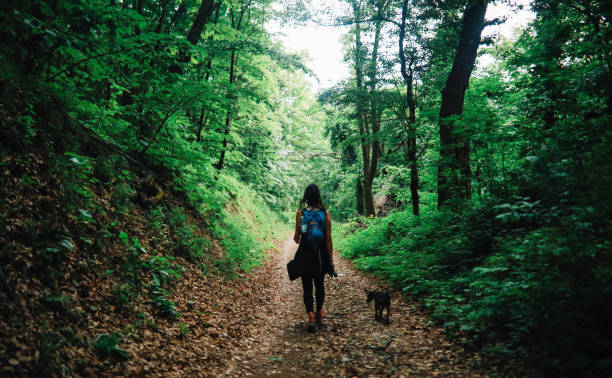 istock Woman hiking with a dog 1251168422