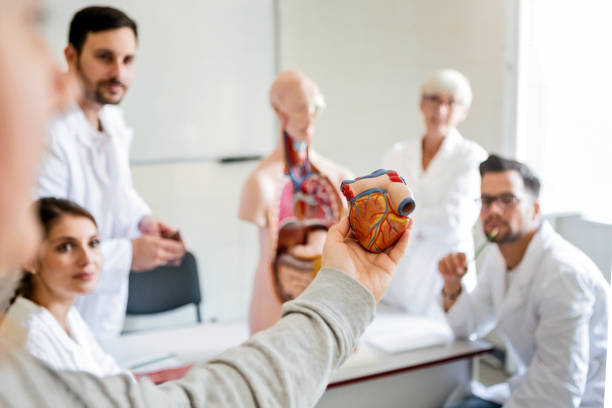 istock Students of medicine listening on class 1251169452