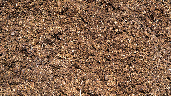Natural eco-friendly fertilizer for the soil - horse manure.