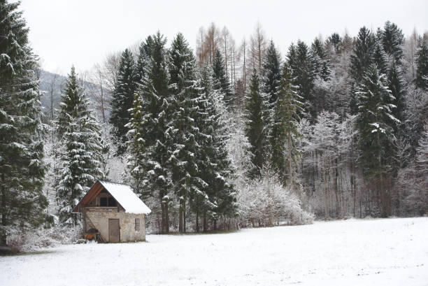 schneelandschaft - schneelandschaft - fotografias e filmes do acervo