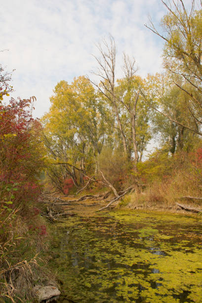 istock Autumnal Dead Ground on the Water 2 1251170901