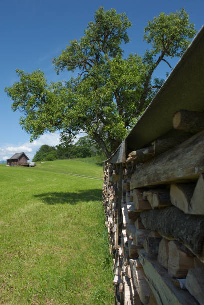 istock Rural motif with hut 1251170995