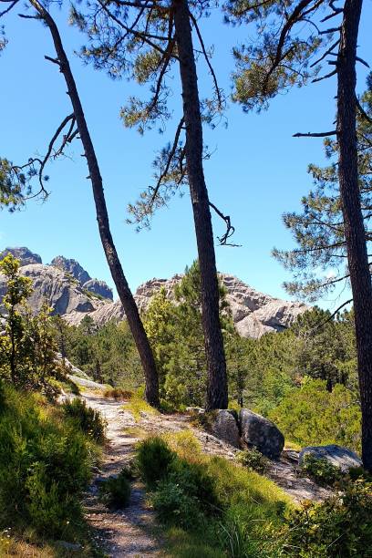 istock Illarata Pass - Zonza Corsica 1251171285