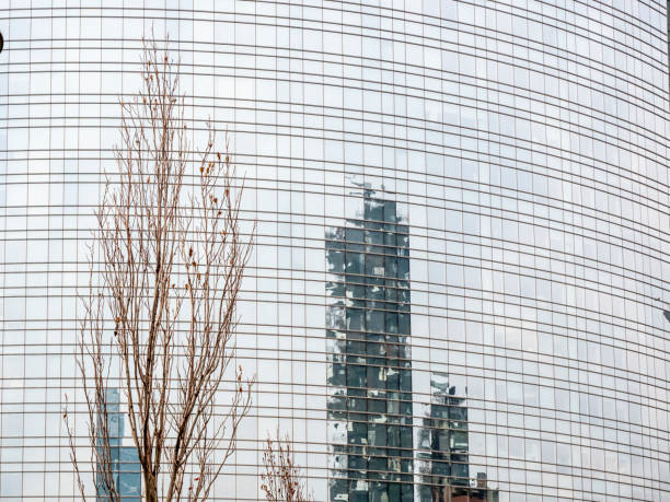 istock Glass facade of skyscrapers reflecting a leafless tree 1251171861