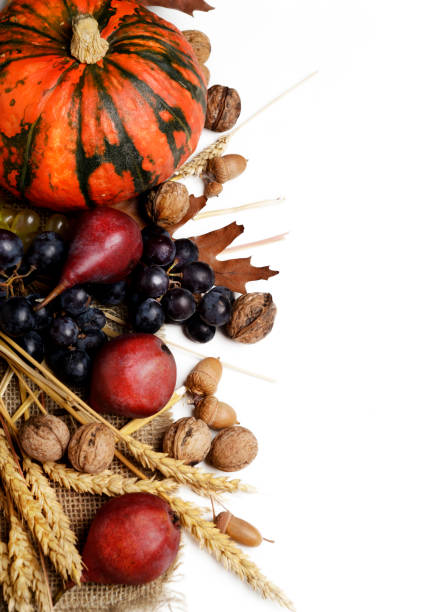 Autumn concept with seasonal fruits and vegetables. Autumn still life. Thanksgiving design with copyspace.
