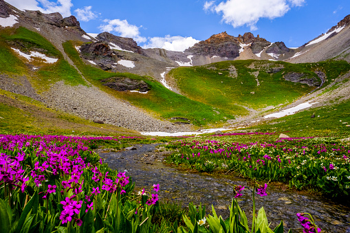 Blossoms, streams and snow cover the ground surrounding