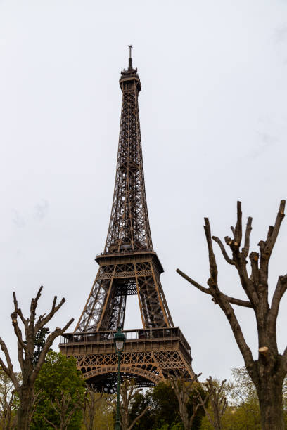 istock View at Eiffel Tower in Paris with trees in the foreground 1251174943