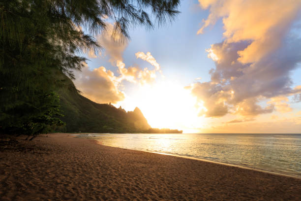 istock Scenic view of tropical beach at sunrise 1251176943