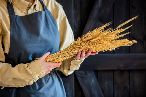 istock female in apron holds wheat spikelets 1251177201
