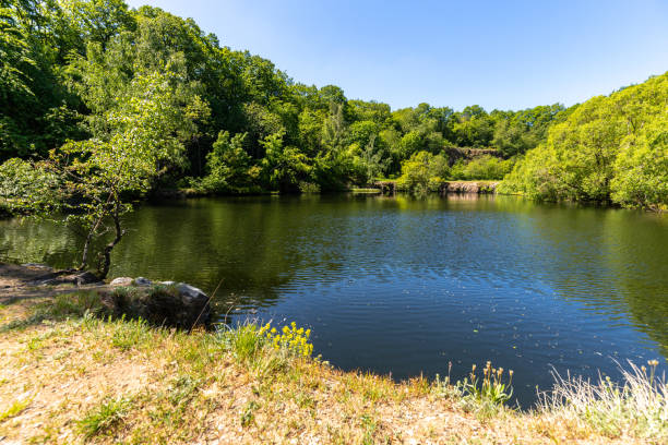 istock Scenic view at the silver lake on the mountain Lemberg 1251177471