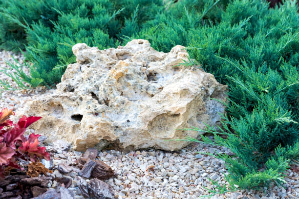 Landscaping with stone in the foreground and juniper. stock photo