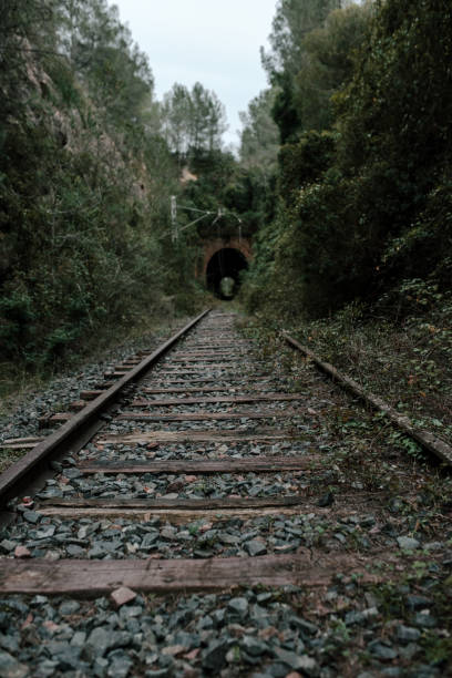 istock Rail road tracks. Track with rails for train in forest with green meadow on horizon. 1251184352