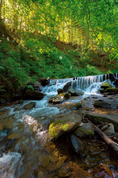 istock mountain river in the forest 1251185800