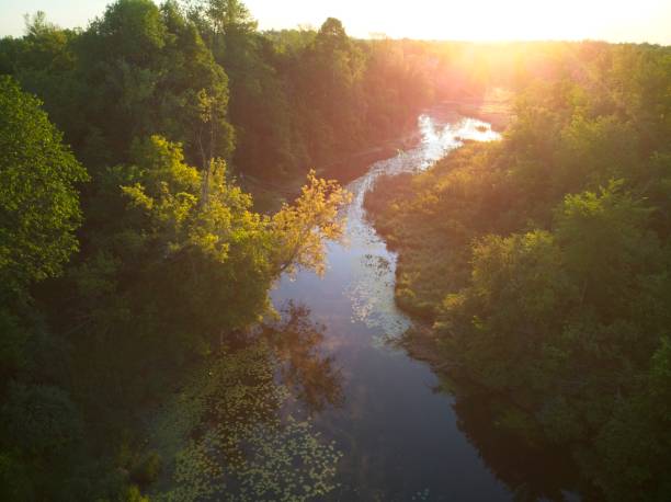 istock Creek from above drone aerial view with lily pads and mist 1251187155