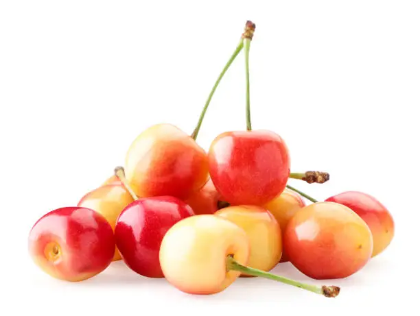 A pile of yellow-red sweet cherry close-up on a white background. Isolated