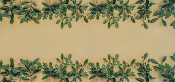 istock Summer composition. Green leaves on pastel orange background. Summer concept. Flat lay, top view, copy space 1251189467