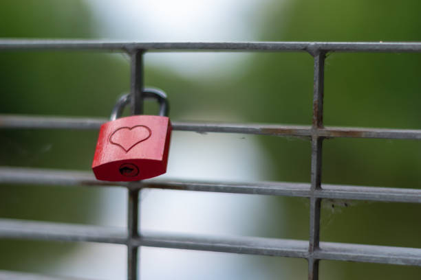 istock Bike locks on a fence 1251191156