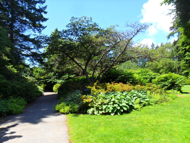 istock Grounds at Vandusen Gardens 1251191911