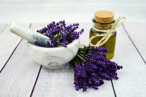 Lavender Narrow-leaved lavender - Lavandula angustifolia infused oil stock pictures, royalty-free photos & images