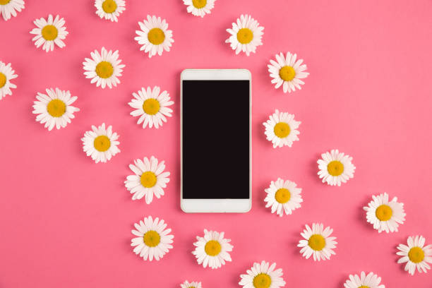 Photo of Smartphone surrounded by flowers on pastel pink background