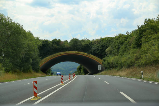 Highway / Bridge over the highway for animals