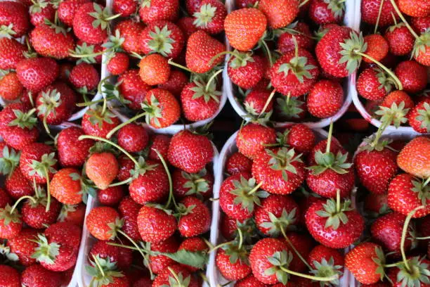 Photo of Strawberry fruit in boxes strawberry is a delicious fruit