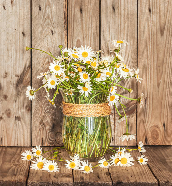 istock A Bouquet of Fresh Chamomile in a Vase on a Rustic Background. 1251197782