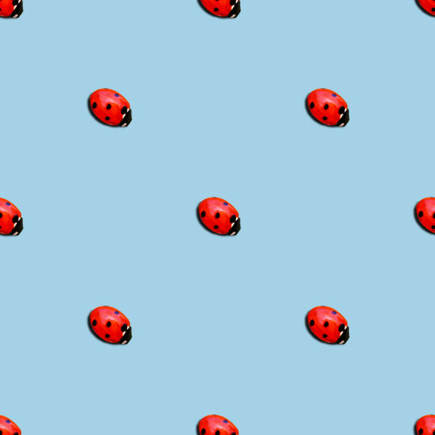 istock ladybug or ladybird seamless pattern isolated over blue background. minimal summer concept. 1251199304