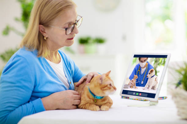 istock Online consultation with veterinarian doctor. 1251199965