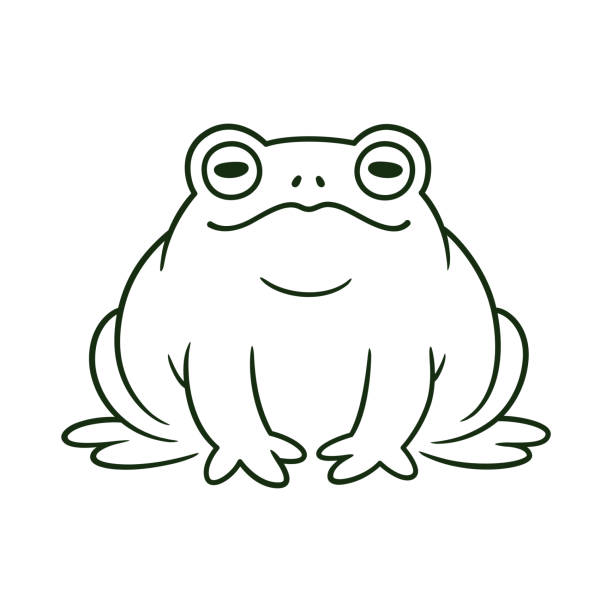 Cartoon toad drawing Cartoon toad, black and white line drawing. Funny toad sitting. Isolated vector clip art illustration. giant frog stock illustrations