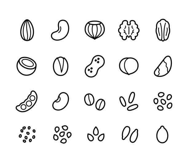 Nuts, seeds, grains icons Nuts, seeds, grains and legumes line icon set. Plant based diet ingredients, non-dairy milk symbols. pecan icon stock illustrations