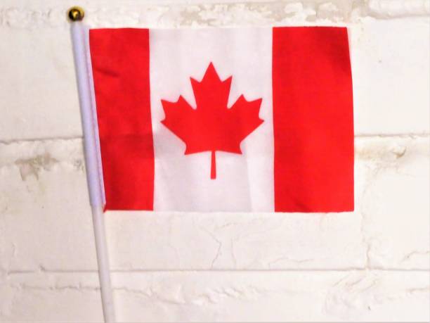 istock Red and White Maple Leaf Canadian Flag With a White Brick Wall Background 1251202433